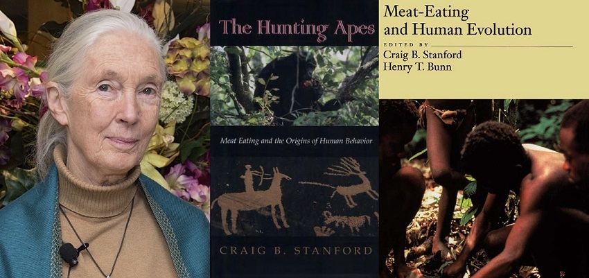 Retrato de Jane Goodall y las portadas de los libros, The Hunting Apes y Meat-eating and human evolution the Craig Standford